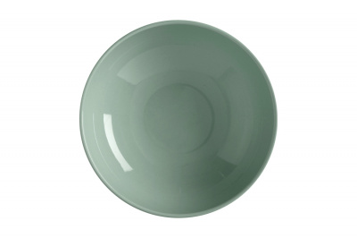CD497-IK0124 Салатник 16.5см, 0.5л (шалфей) "Corallo"
